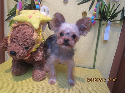 ファイル 7634-3.jpg