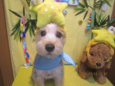 ファイル 7635-2.jpg