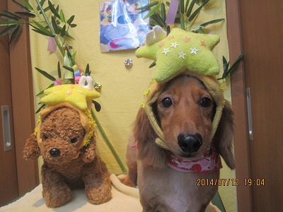 ファイル 7636-1.jpg