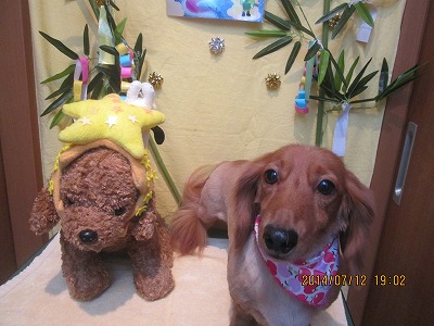 ファイル 7636-2.jpg