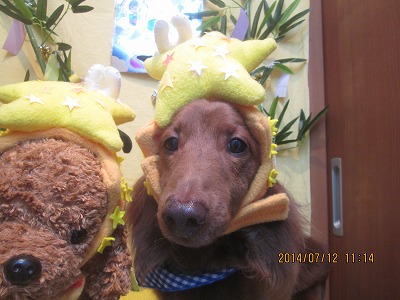 ファイル 7637-1.jpg