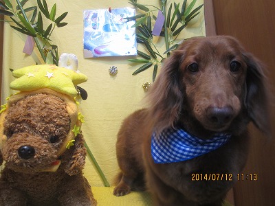 ファイル 7637-2.jpg