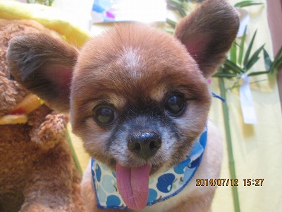 ファイル 7638-1.jpg