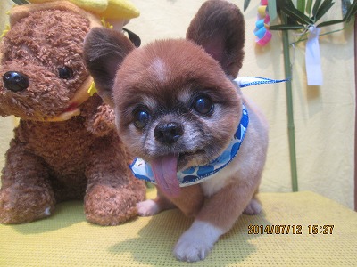 ファイル 7638-2.jpg