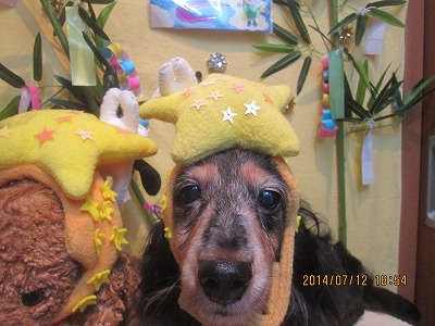 ファイル 7639-1.jpg