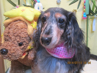 ファイル 7639-2.jpg