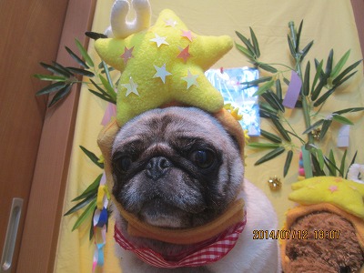 ファイル 7640-1.jpg