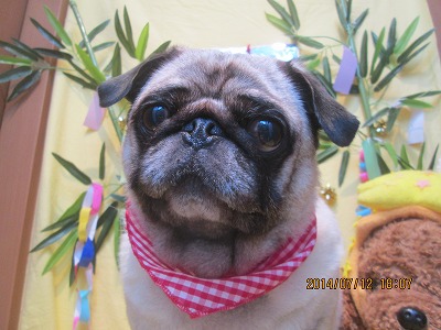 ファイル 7640-2.jpg