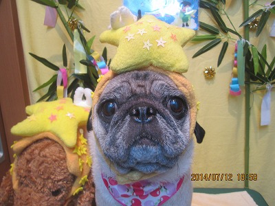 ファイル 7641-1.jpg