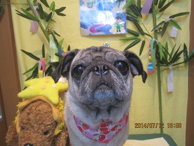 ファイル 7641-2.jpg