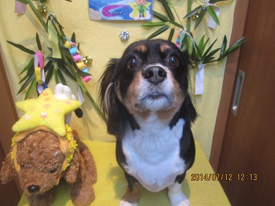 ファイル 7642-2.jpg