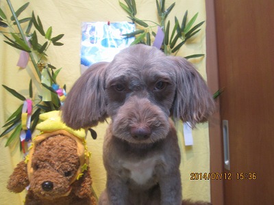 ファイル 7643-2.jpg