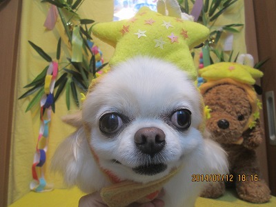 ファイル 7644-2.jpg