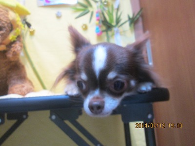 ファイル 7645-2.jpg