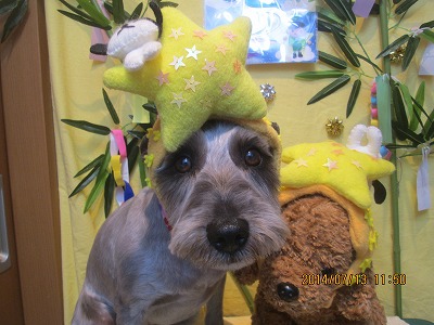 ファイル 7646-1.jpg