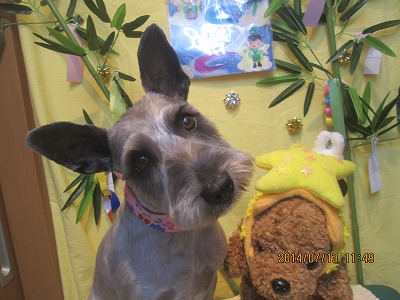 ファイル 7646-2.jpg