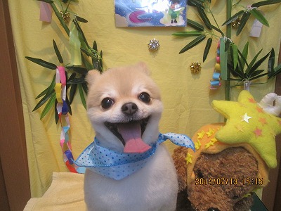 ファイル 7647-1.jpg