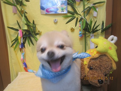 ファイル 7647-2.jpg