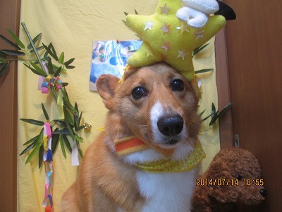 ファイル 7647-3.jpg