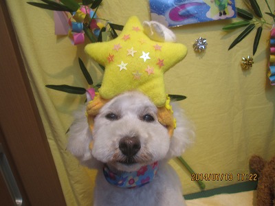 ファイル 7648-1.jpg