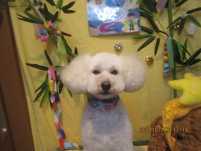 ファイル 7648-2.jpg