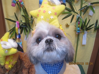 ファイル 7649-1.jpg