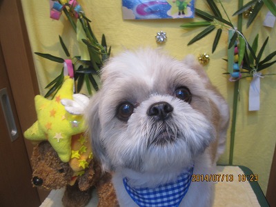 ファイル 7649-2.jpg