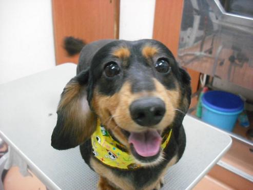 ファイル 765-1.jpg