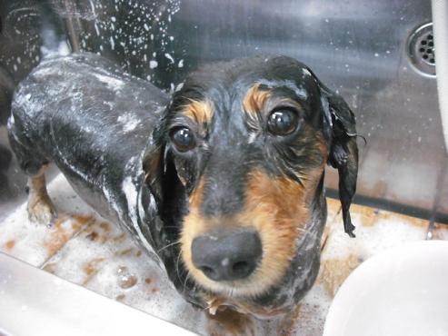 ファイル 765-2.jpg