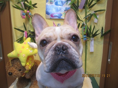 ファイル 7650-2.jpg