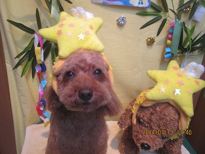 ファイル 7651-1.jpg