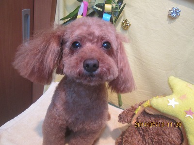 ファイル 7651-2.jpg