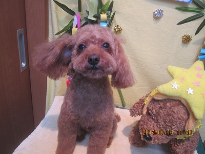 ファイル 7651-3.jpg