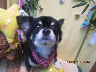 ファイル 7653-1.jpg