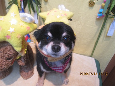 ファイル 7653-2.jpg