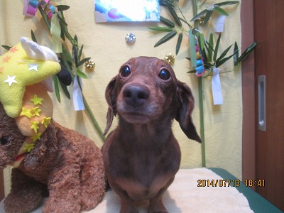 ファイル 7654-2.jpg