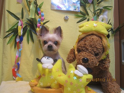 ファイル 7655-2.jpg