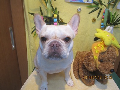 ファイル 7656-2.jpg