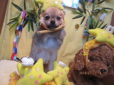 ファイル 7657-1.jpg