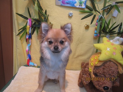 ファイル 7657-2.jpg