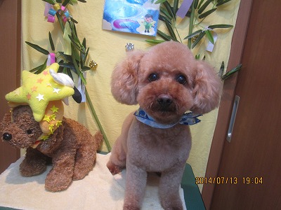 ファイル 7658-1.jpg