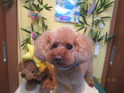 ファイル 7658-2.jpg