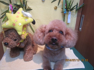 ファイル 7658-3.jpg