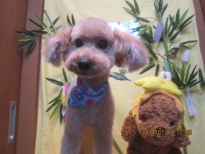 ファイル 7659-1.jpg