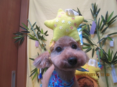 ファイル 7659-2.jpg