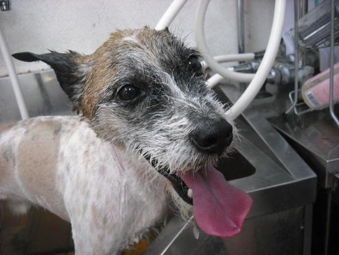 ファイル 766-2.jpg