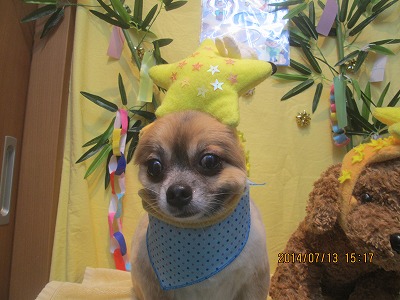 ファイル 7660-1.jpg