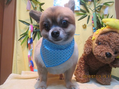 ファイル 7660-2.jpg