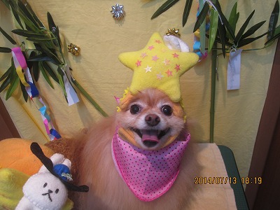 ファイル 7662-1.jpg