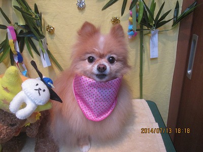 ファイル 7662-2.jpg